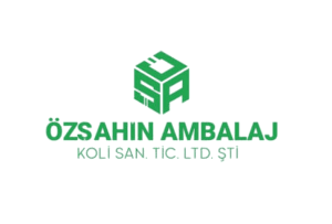 ekran görüntüsü 2026 01 17 153316